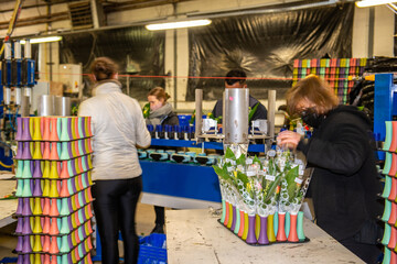 cueillette du muguet nantes france