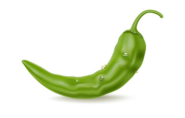 Realistic green hot chili pepper with drops, hot spice, vector icon, food ingredient and vegetable food.