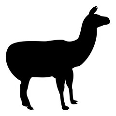 Silhouette alpaca llama lama guanaco black color vector illustration flat style image