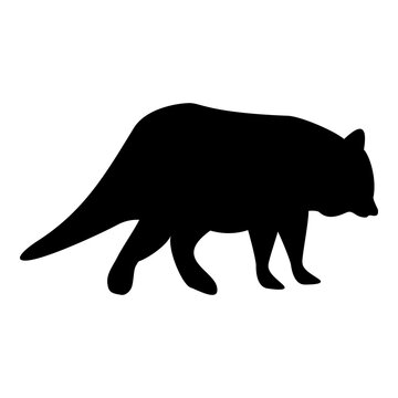 Silhouette raccoon coon black color vector illustration flat style image