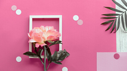 Pink peony flower, greeting card. Minimal simple two tone layered flat lay with frame. Palm leaf on abstract pink geometric background with paper confetti, polka dots.
