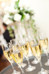 Champagne in bottles and in many glasses