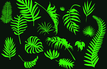 Fototapeta na wymiar Beautiful tropical leaves on the background of a leopard texture. Isolated from the background. Vector craft