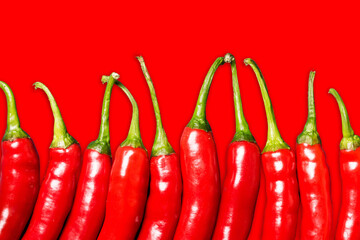Red chili peppers isolated. Vibrant color chili pepper. Hot spicy food ingredient. Empty copy space vegetable background. Shiny tasty vegetables in row.