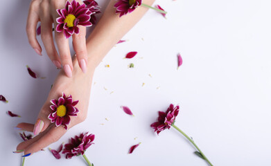 Female hands and flowers on a white background