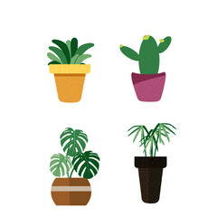 Plant for decorations on white background.