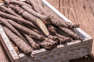 Raw Scorzonera or Spanish salsify, trendy hard light, dark shadow