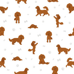 Cavalier King Charles spaniel seamless pattern. Different poses, coat colors set