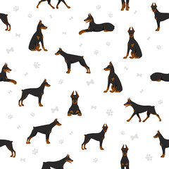 Doberman pinscher dogs seamless pattern. Different poses, coat colors set