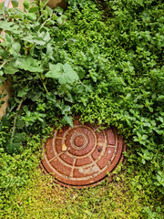 Sewer metal cap on the forest.
Rusty manhole