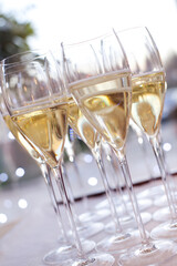 Champagne in bottles and in many glasses