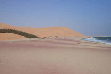 Fototapeta na wymiar orange dunes and pink sand of the Sandwich Harbor Nature Reserve