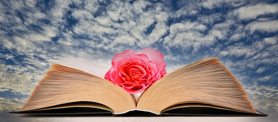 Open Hardcover Book with nostalgic Hybrid Tea rose 