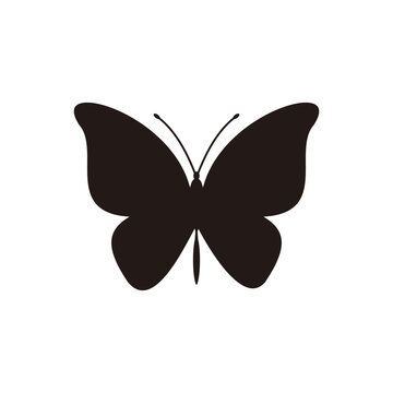 Butterfly vector icon illustration sign
