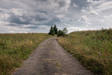 Fototapeta na wymiar An empty, dirt road, Bieszczady National Park, Poland 