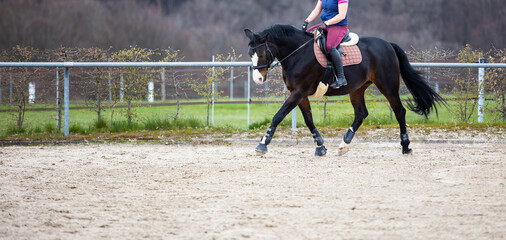 Horse with rider in gait step with raised right leg on the riding arena, with space for text on the left..