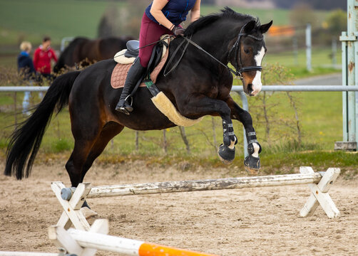 Pferd mit Reiter w&auml;rend dem Sprung  &uuml;ber ein Cavaletti an.
