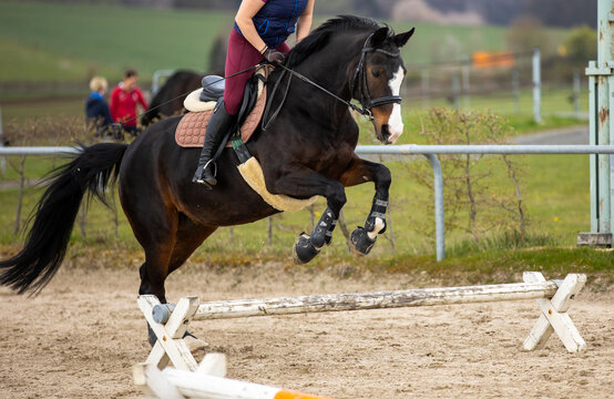Horse with rider is about to jump over a cavaletti..