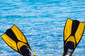 Feet in flippers fins on sea shore