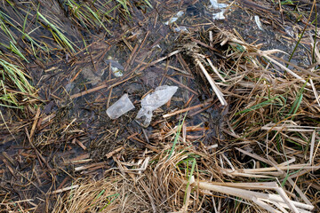 Garbage on the shore of the lake. Plastic bags and bottles pollute the environment. The concept of protecting and preserving the surrounding nature.