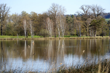 Natur reserve Katzensee (German, translation is cat lake) at springtime morning with beautiful reflections. Photo taken April 21st, 2021, Zurich, Switzerland.