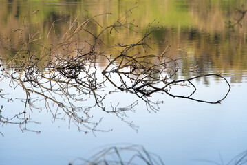 Natur reserve Katzensee (German, translation is cat lake) at springtime morning with beautiful...