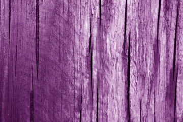 Part of wood curving on oak in purple tone.