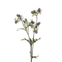 Realistic flowers and plants for designer compositions and interior decoration of residential and office premises. White isolated background