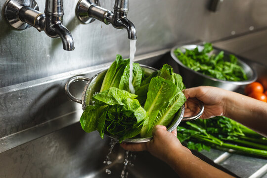 Close up of hands of person washing roman lettuce with water