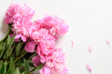 Bouquet of beautiful pink peony flowers on white background. Copy space. View from above. Festive greeting card with peony for weddings, happy women's day and Mothers day.