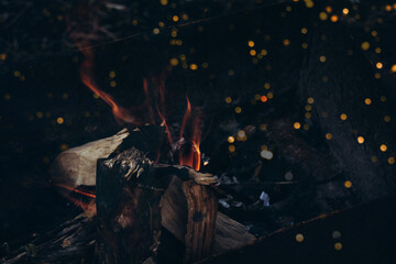 Bonfire flame. Burning firewood in the grill. Outdoor recreation and dinner. Copy space