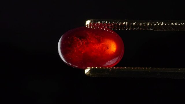 natural hessonite brown garnet gemstone in the tweezer on the turn table