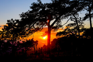 Silhouette Loei Province Thailand Phu Kradueng National Park. Is one of the attractions of the most...