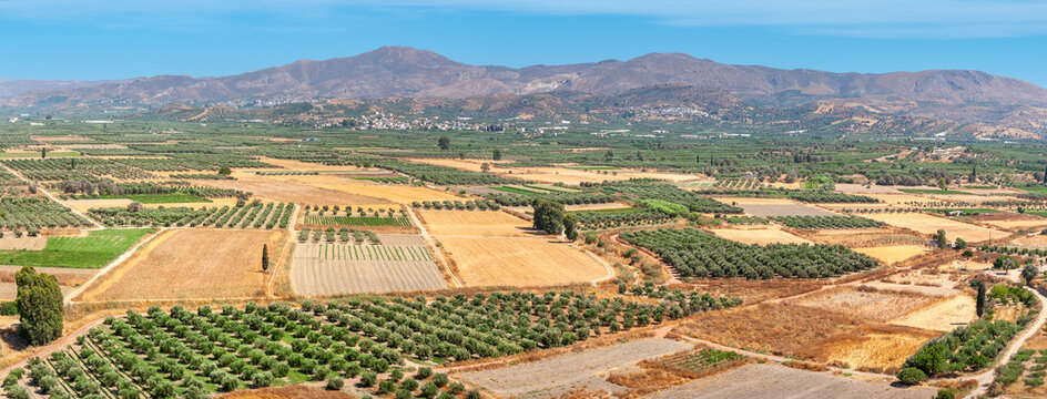 Messara plain landscape. Crete, Greece