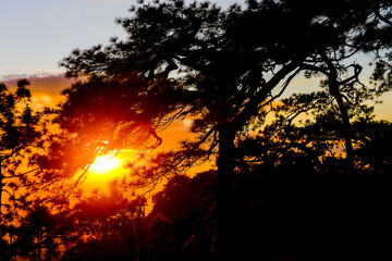 Loei Province Thailand Phu Kradueng National Park. Is one of the attractions of the most famous of...