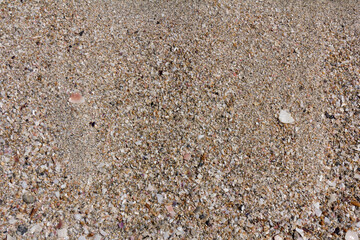 Texture background of the sand near the water on the beach