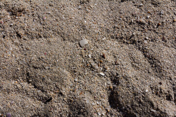 Texture background of the sand near the water on the beach