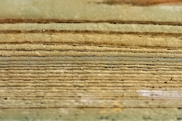 Photo of a wooden board. Shallow depth of field, natural wood texture.
