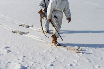 Hunters on skis return from hunting with shot hares. Hunters on skis and with guns. Hunters go on...