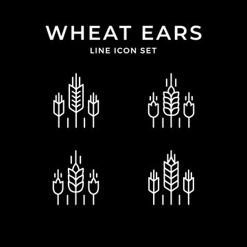 Set line icons of wheat ears
