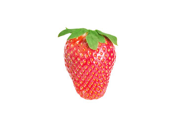 one whole ripe strawberry isolated on a white background 