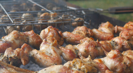Chicken wings are fried on an open fire. There's smoke all around. Barbecue