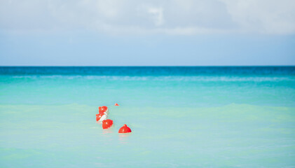 Obraz premium red-white buoys in the birch-colored ocean