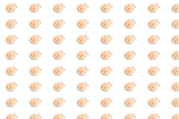 Seashells pattern isolated on white background