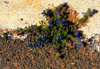 background made of colorful splashes