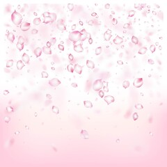 Cherry Sakura Blossom Confetti. Beautiful Rich VIP Tender Texture.
