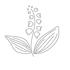 Lily of the valley with leaves. Hand drawn vector illustration