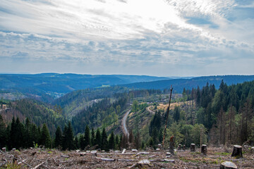 Fernsicht über den Thüringer Wald auf dem Fernwanderweg Rennsteig zwischen Limbach und...