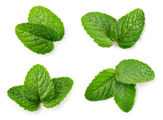 Mint leaf isolated. Fresh mint on white background. Set of mint leaves top view. Full depth of...