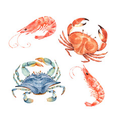 set of watercolor illustrations in maritime style seafood crabs and shrimp. hand painted on white background - obrazy, fototapety, plakaty